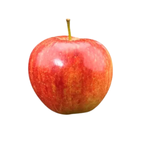 Jonagold-appel-fruit-Veggipedia__FitMaxWzYwMCw2MDBd Lekkere appel