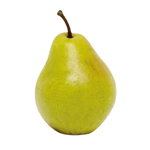 Veganistische peer